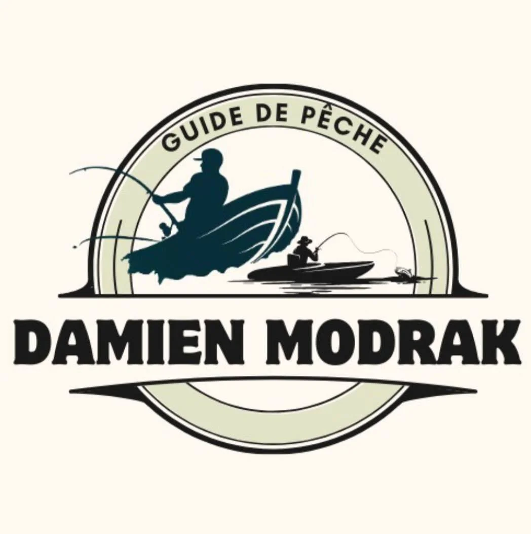 damien modrak logo